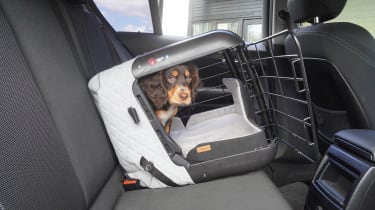 Back seat cage for dogs best sale